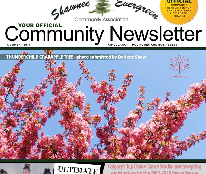 SECA Summer 2017 Newsletter