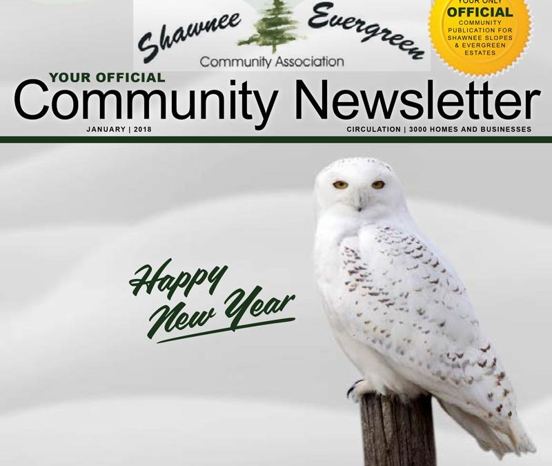 SECA January 2018 Newsletter
