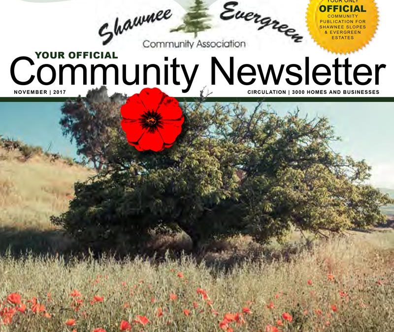 SECA November 2017 Newsletter