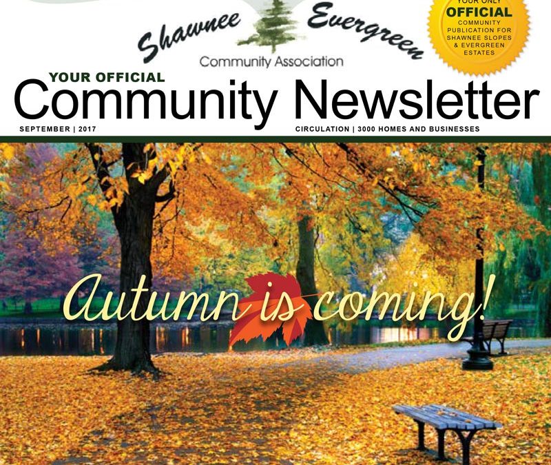 SECA September 2017 Newsletter