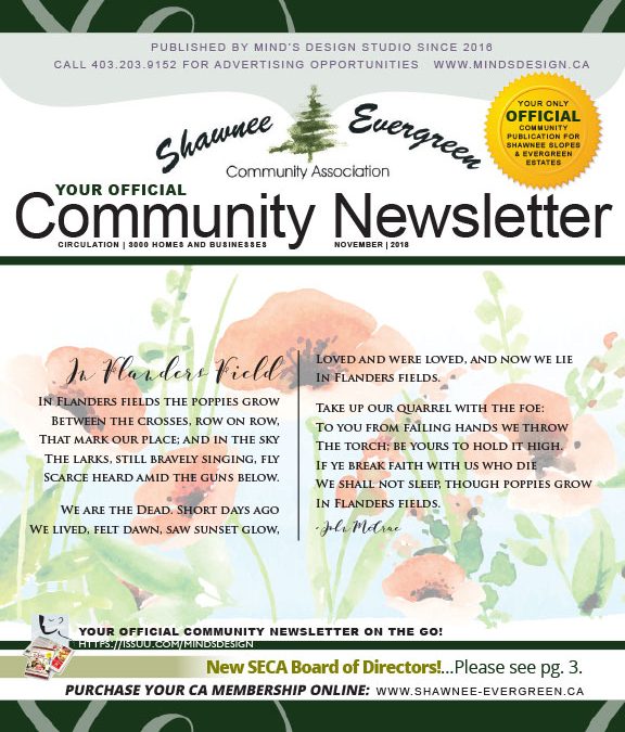 SECA November 2018 Newsletter