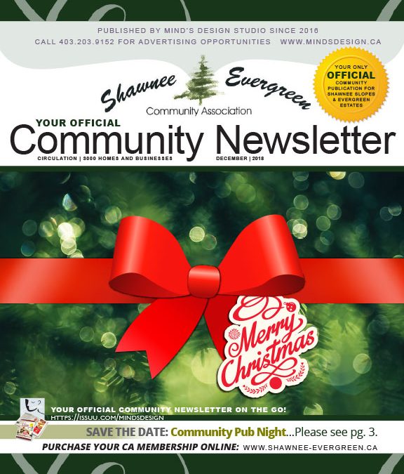 SECA December 2018 Newsletter