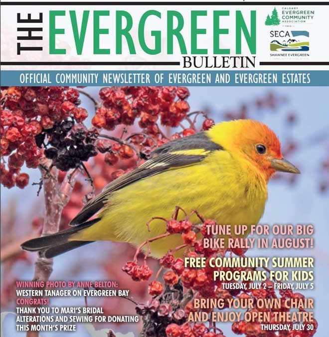 Evergreen Bulletin July 2019