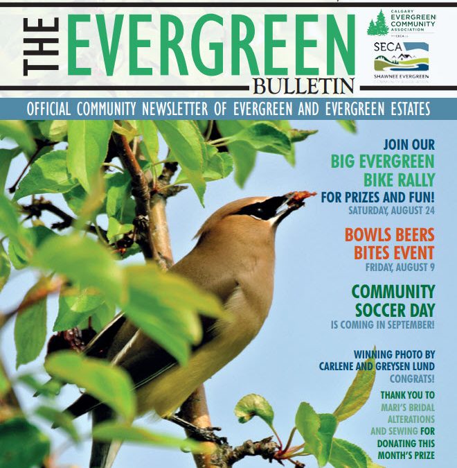Evergreen Bulletin August 2019