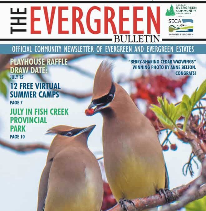 Evergreen July 2020
